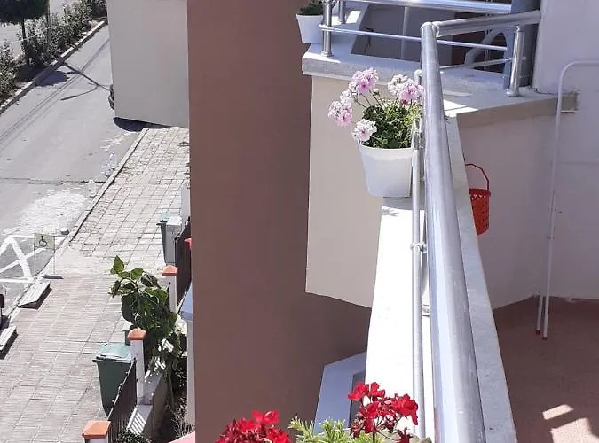 смокиня 3* Obzor