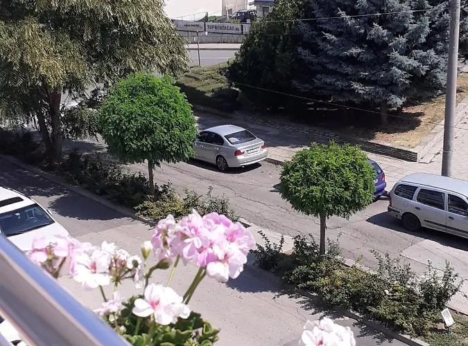 смокиня Guest house Obzor